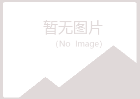 五大连池沉沦电讯有限公司